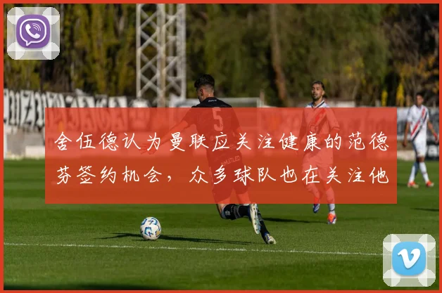 舍伍德认为曼联应关注健康的范德芬签约机会，众多球队也在关注他